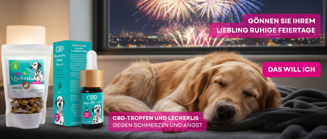 Newsletter - Banners -